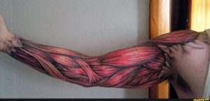 50 Amazing Muscles Tattoos throughout measurements 1708 X 820