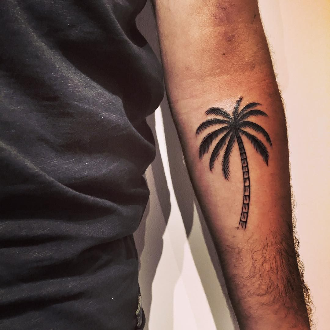 50 Superb Palm Tree Tattoo Designs And Meaning Check More At Http for proportions 1080 X 1080