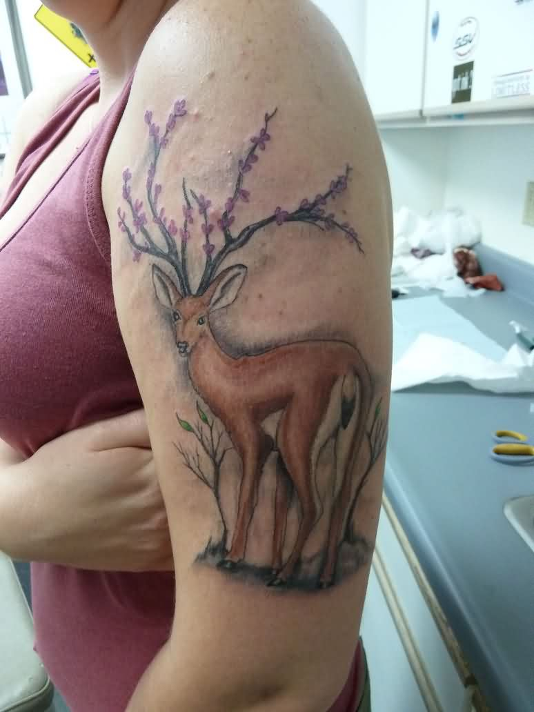 58 Deer Antler Tattoos Collection With Meanings inside sizing 774 X 1032