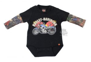 Sg30 0641 Harley Davidson Boys Ba Flaming Motorcycle With in measurements 1756 X 1200