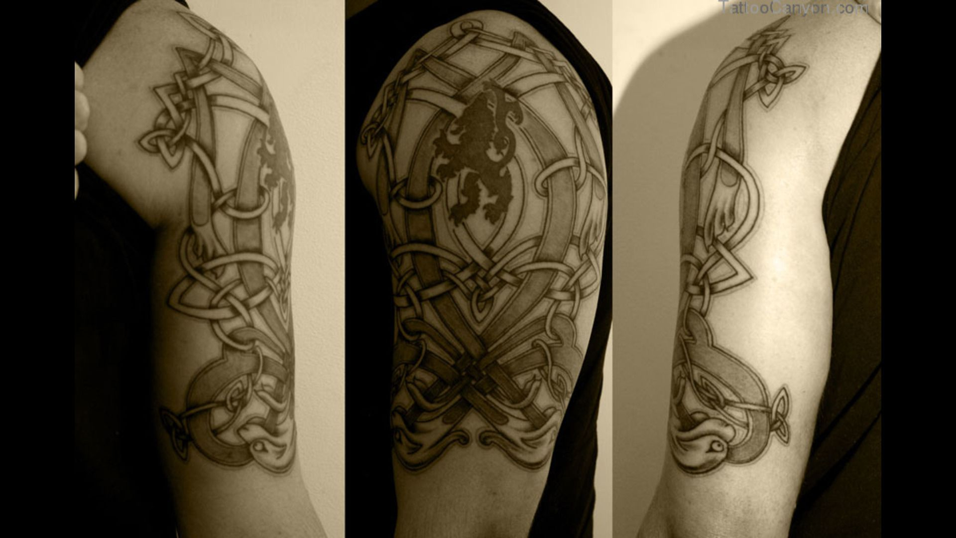 Tattoos Custom Celtic Knot Dog Half Sleeve Tattoo Design Great in sizing 1920 X 1080