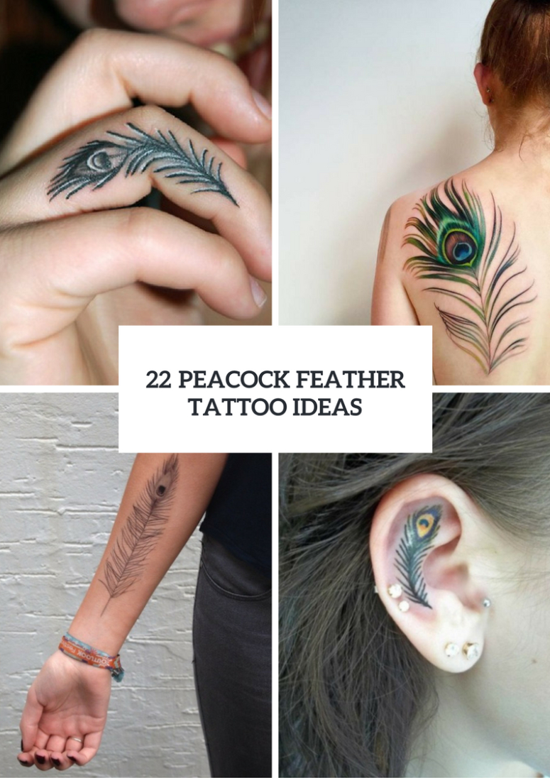 22 Women Peacock Feather Tattoo Ideas To Try Styleoholic with dimensions 775 X 1096