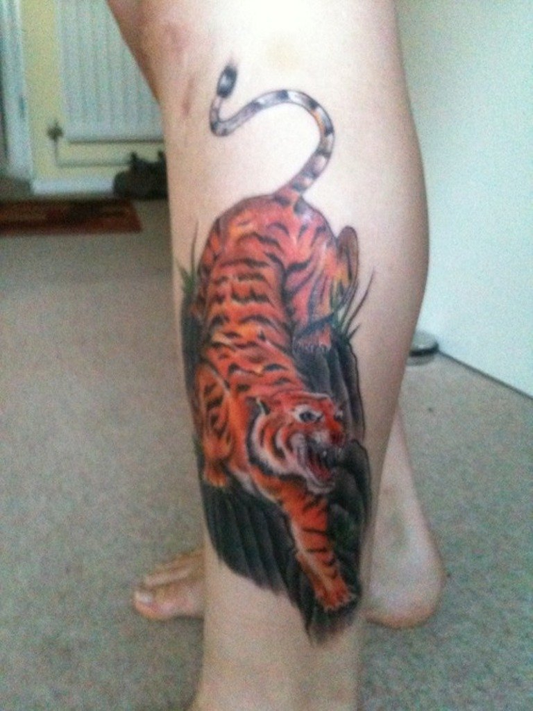 40 Clean Tiger Tattoos For Leg intended for measurements 768 X 1024