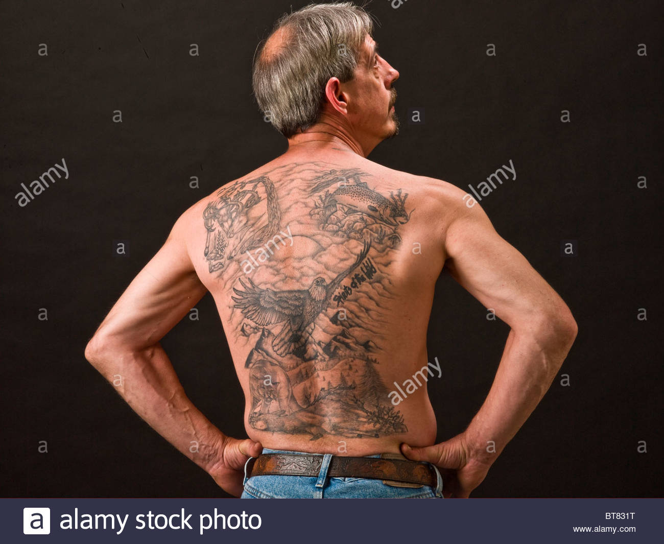 One Caucasian Male Man W Multiple Tattoos On Back Stock Photo within size 1300 X 1065