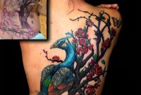 Peacock Cherry Blossom Cover Up Back Tattoo Jackie Rabbit Tats for proportions 1638 X 2048