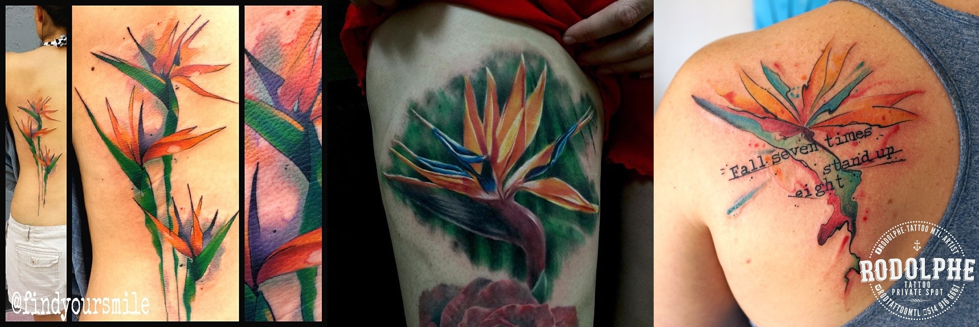 10 Beautiful Bird Of Paradise Flower Tattoos Stacie Mayer with regard to measurements 1914 X 640