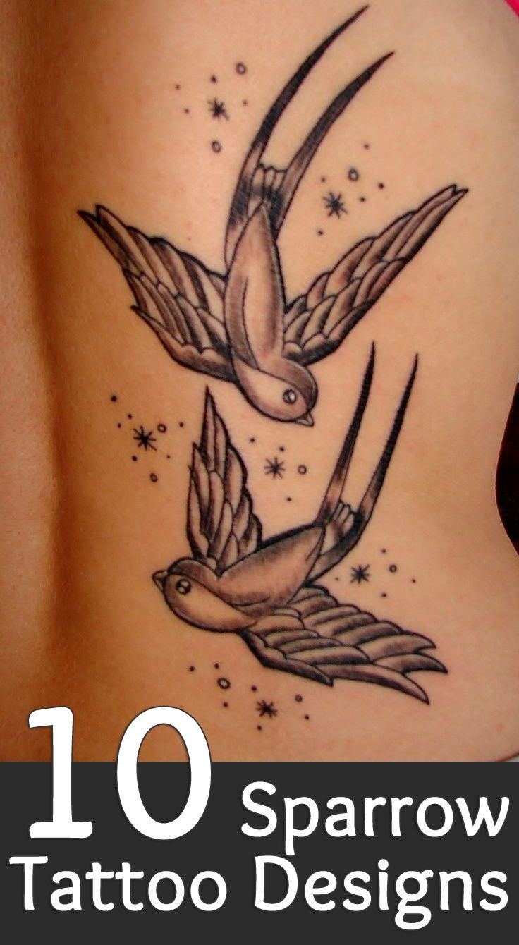 12 Inspiring Swallow And Sparrow Tattoos Tattoo Sparrow Tattoo regarding proportions 736 X 1340