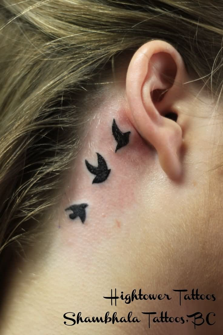 24 Behind The Ear Bird Tattoos for measurements 736 X 1104