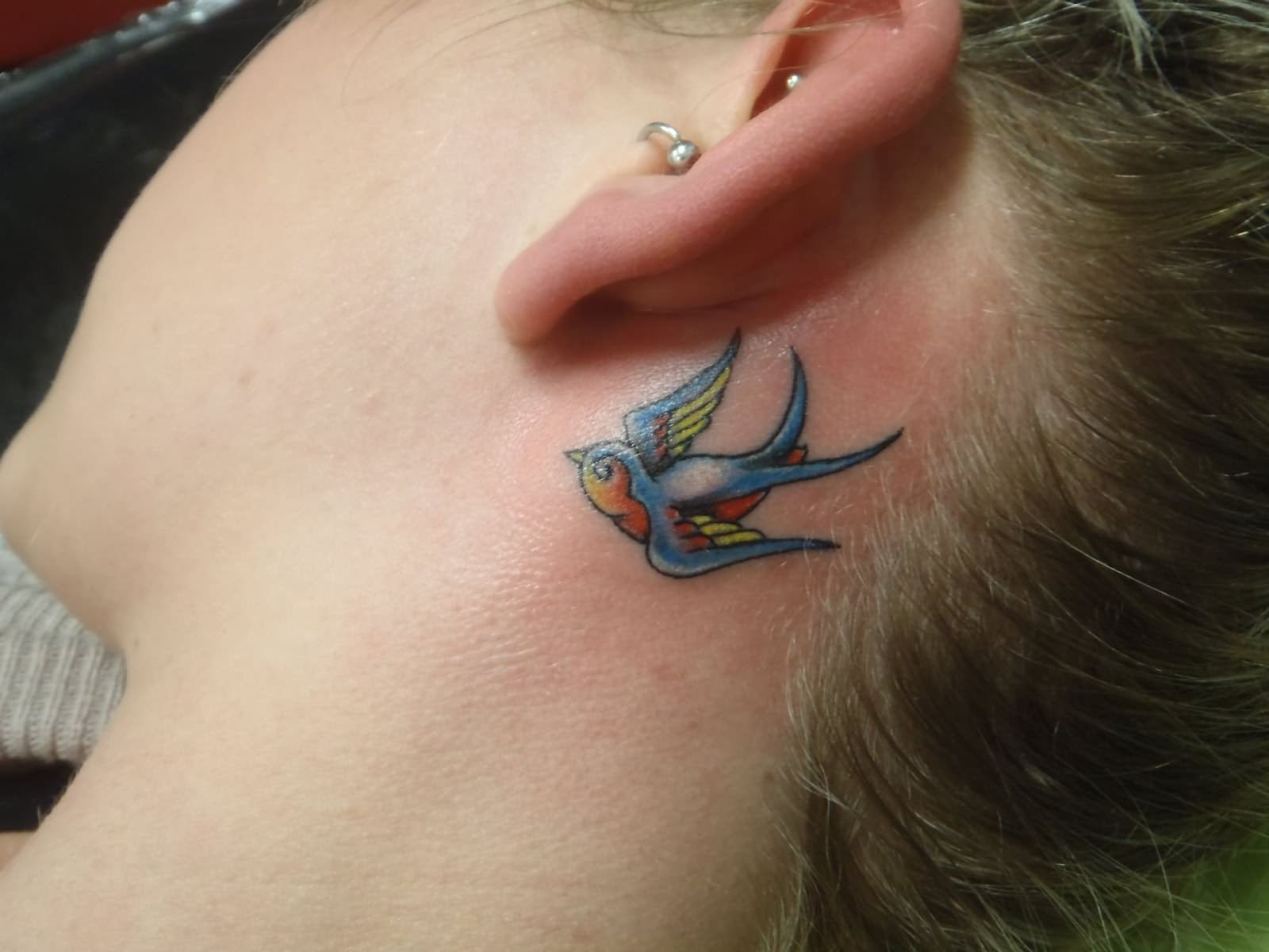 24 Behind The Ear Bird Tattoos intended for dimensions 1600 X 1200