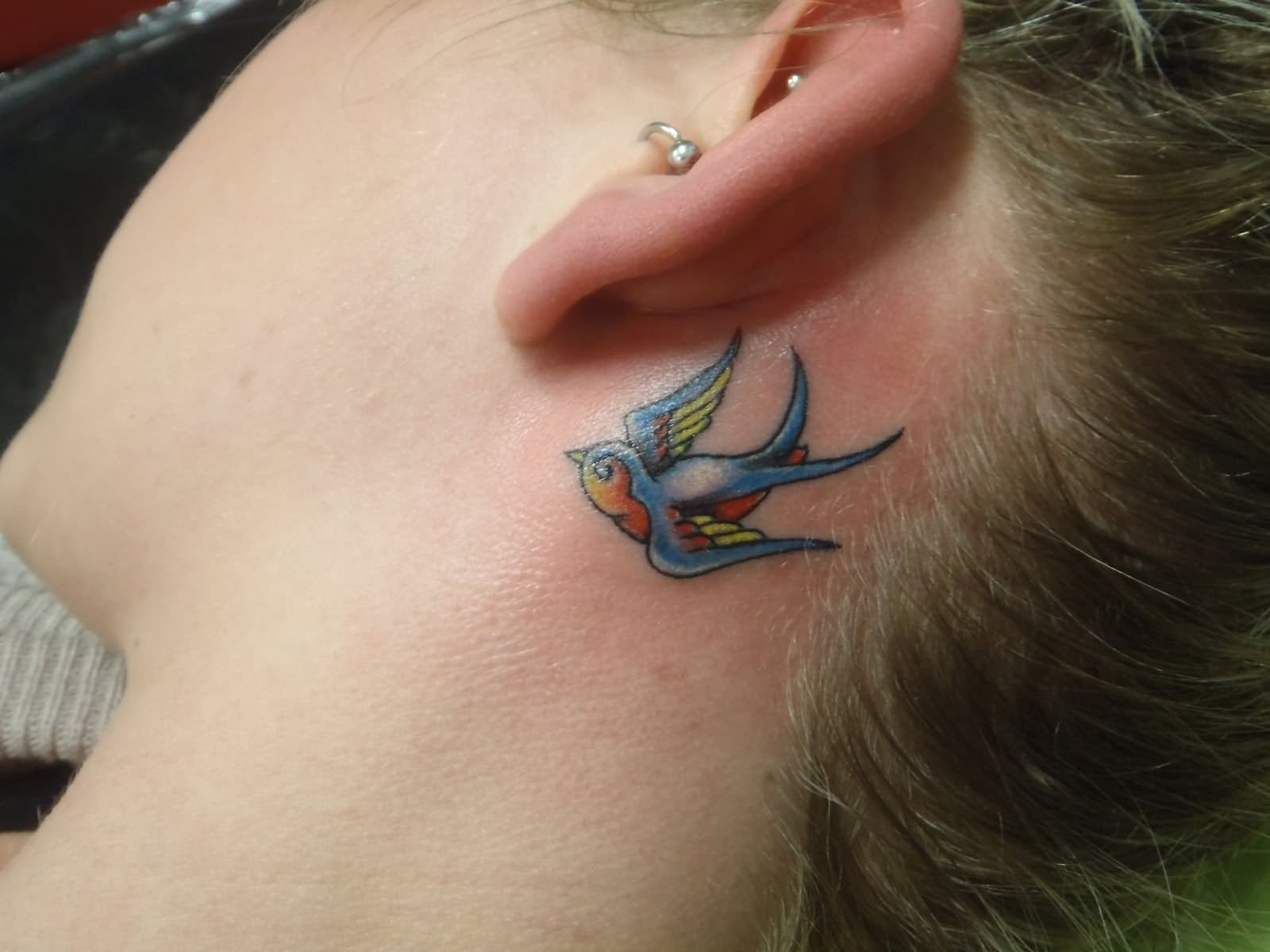 24 Behind The Ear Bird Tattoos intended for proportions 1600 X 1200