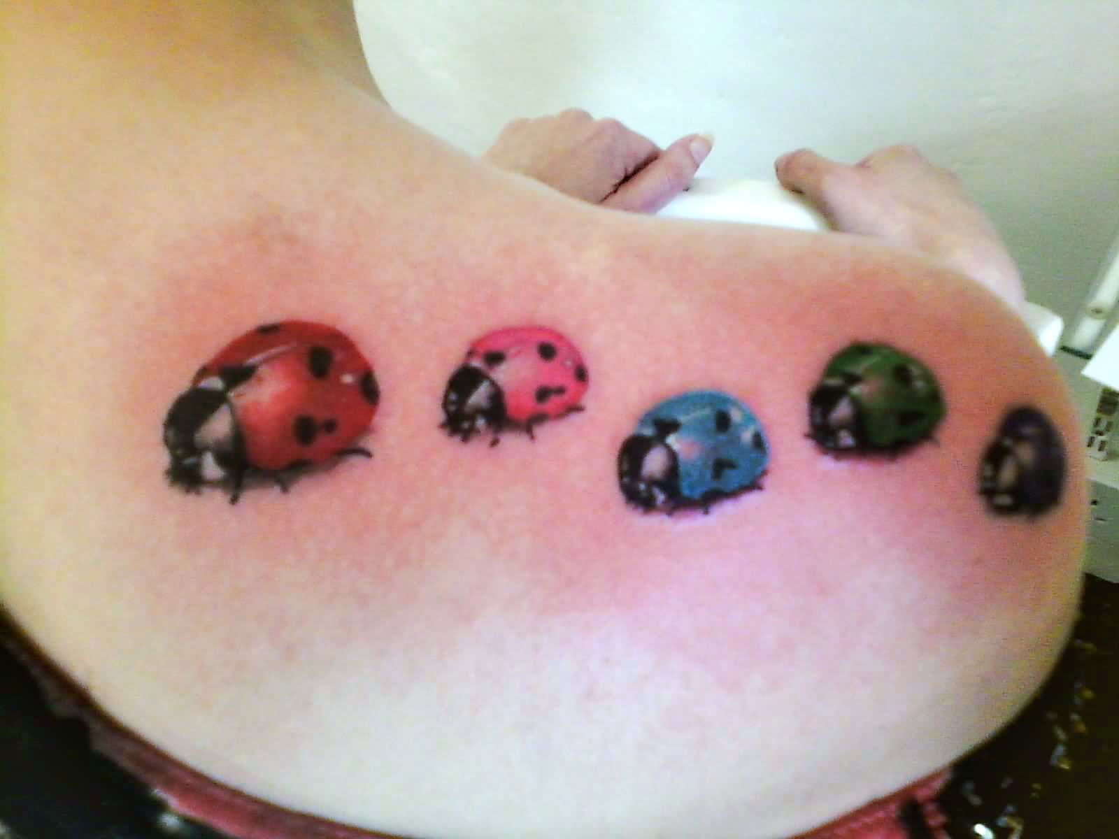 24 Cool Ladybird Tattoo Images And Picture Ideas throughout size 1600 X 1200