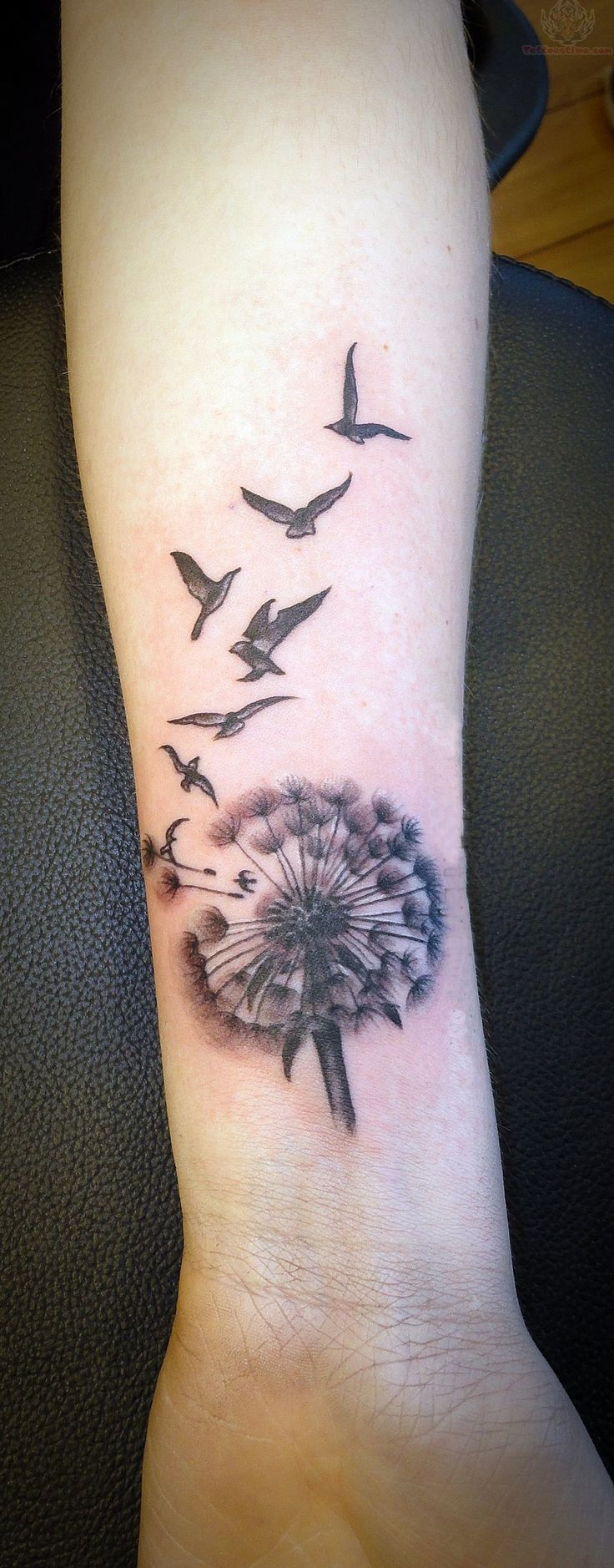 38 Superb Crow And Raven Tattoos inside proportions 736 X 1878