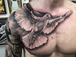 50 Fabulous Birds Tattoos On Chest with regard to measurements 1024 X 768