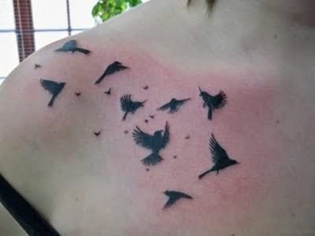 50 Fabulous Birds Tattoos On Chest with regard to proportions 1024 X 768