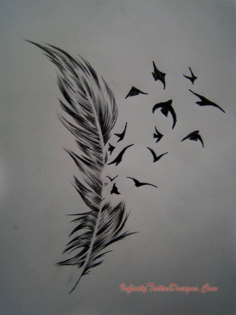 62 Beautiful Feather Tattoos With Meanings regarding proportions 774 X 1032