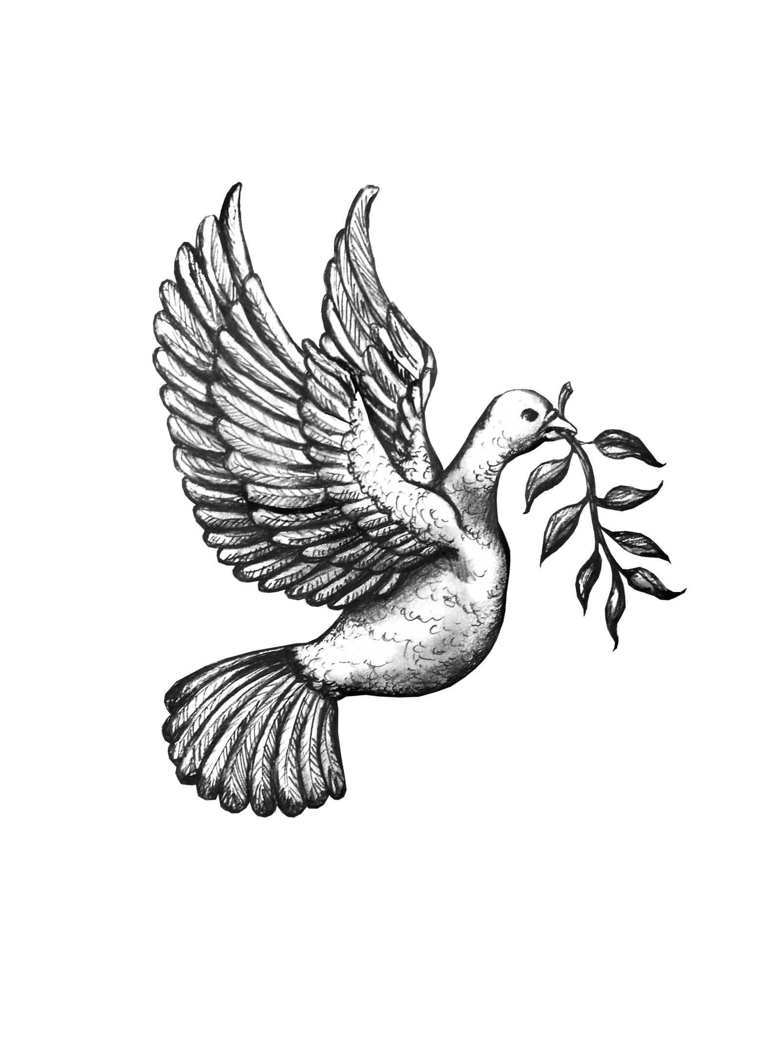 65 Peace Dove Tattoo Meanings And Ideas with sizing 1600 X 2133