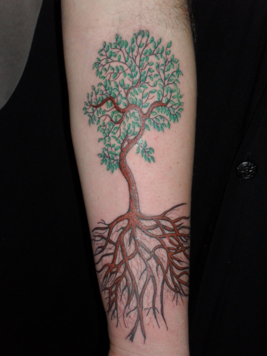 70 Incredible Tree Of Life Tattoos with size 900 X 1200