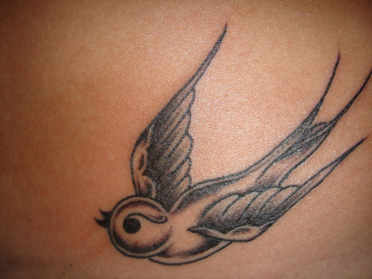 A Bird Tattoo Design Tattoos And Love Items Tattoos Small intended for dimensions 1280 X 960
