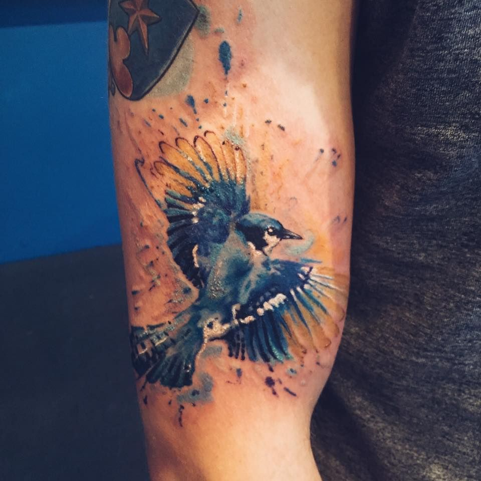 A Blue Jay Tattoo For A Blue Jays Fan Done Alan inside dimensions 960 X 960