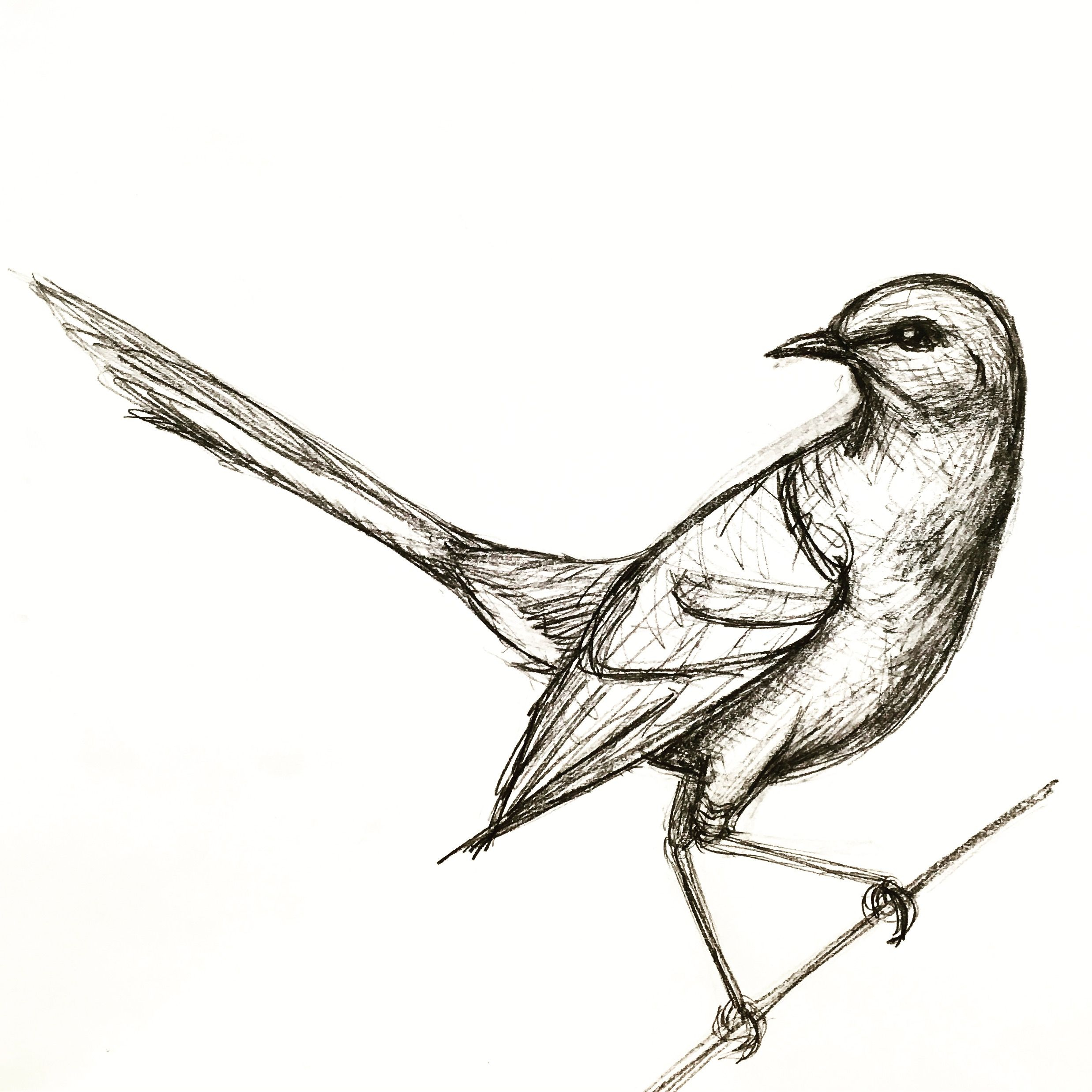 A Quick Mockingbird Drawing Personal Mockingbird Tattoo Tattoos inside size 2475 X 2475