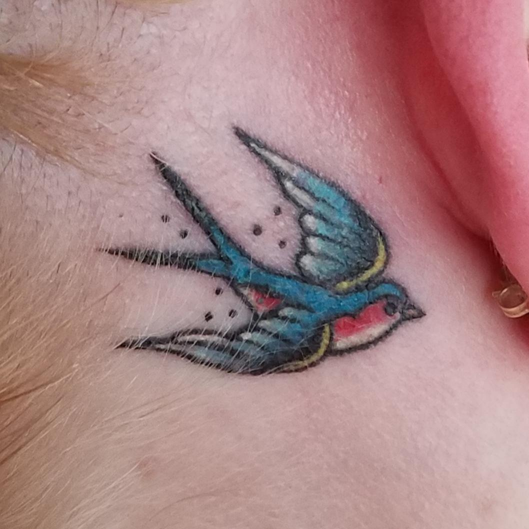 A Traditional Bluebird Ernie At Warlocks Tattoo Raleigh Nc intended for dimensions 1058 X 1058