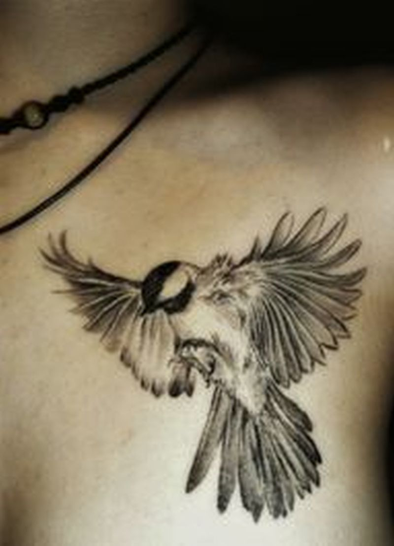 Amazing Bird Tattoo On Chest Tattoos Book 65000 Tattoos Designs with proportions 800 X 1108