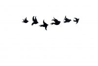 Amazing Black Six Flying Birds Tattoo Stencil Bird Tattoos Bird with regard to proportions 3492 X 2563