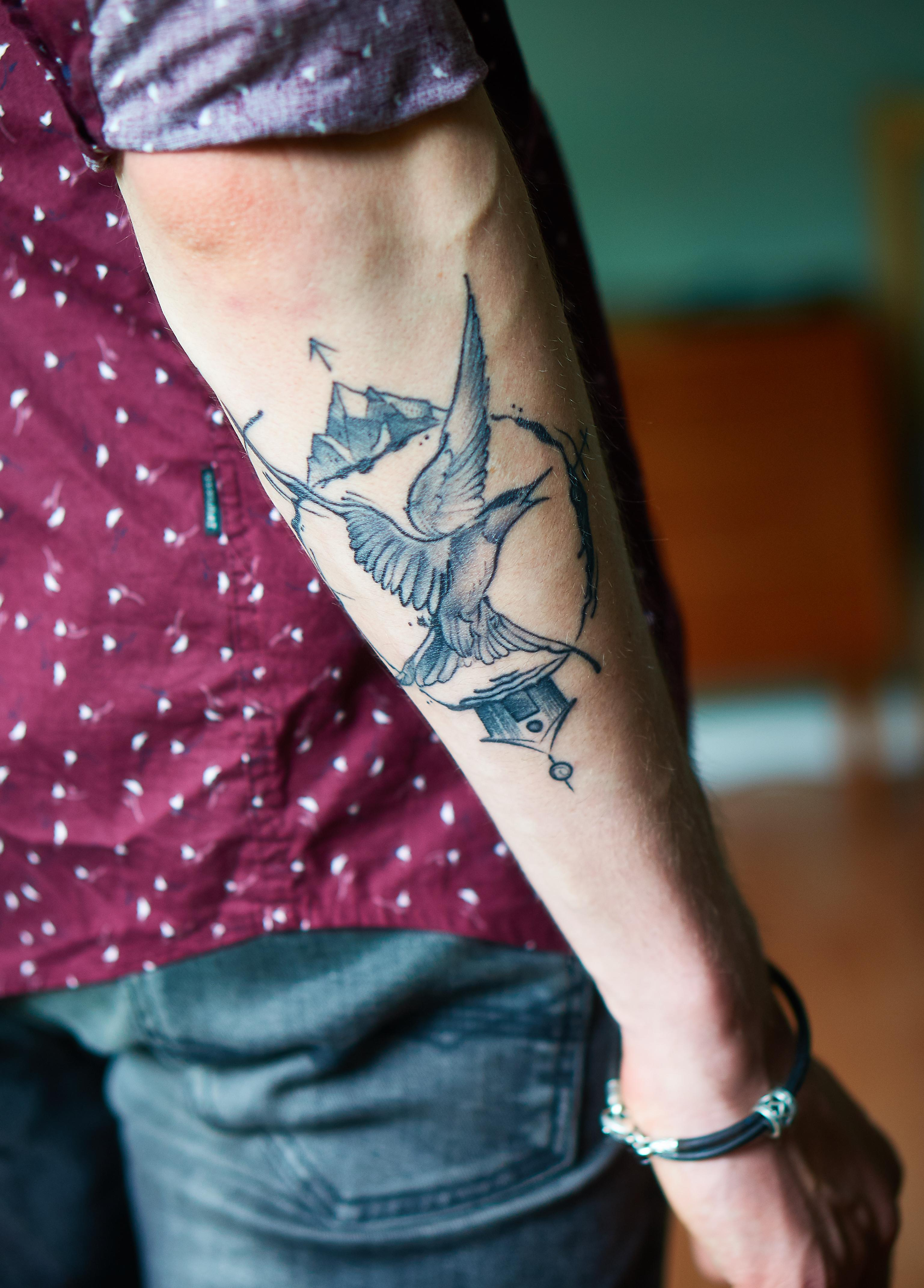 Arctic Tern Allegory On Home Healed David Cross My Heart inside proportions 3074 X 4284