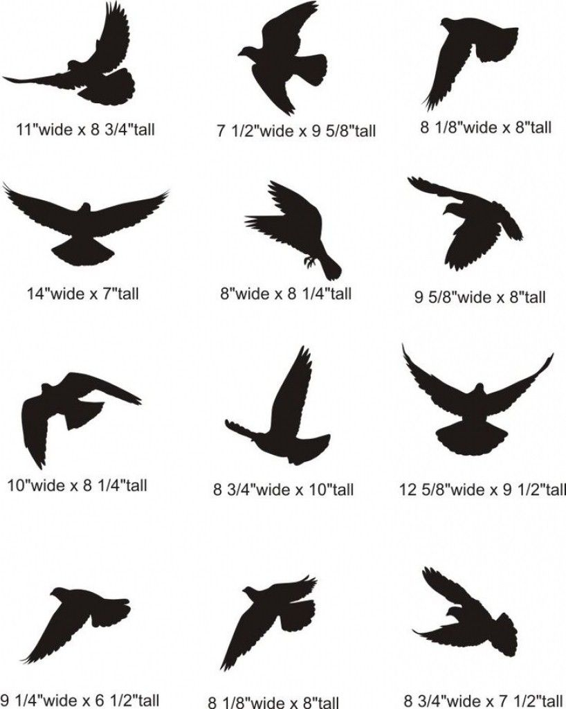 Best 100 Bird Tattoo Designs For The Bird Lover Tattto Small within proportions 818 X 1024