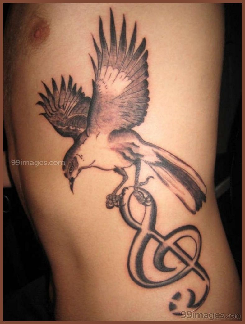 Best Bird Tattoos Hd Images Bird Tattoos Latest Hd intended for dimensions 788 X 1044