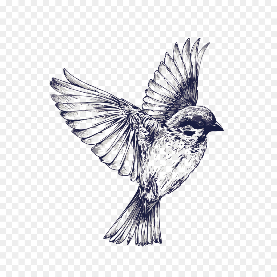 Bird Flight Tattoo Drawing Swallow Vector Hand Painted Sparrow Png regarding sizing 900 X 900
