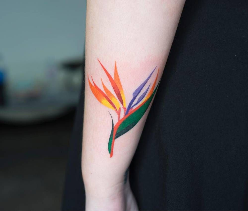 Bird Of Paradise Tattoo On The Left Forearm Nature Tattoos Bird for measurements 1000 X 851