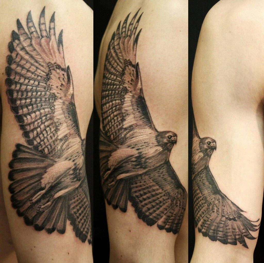 Bird Of Prey Tattoo Tattoos Tattoos Bird Of Prey Tattoo Birds with regard to size 1024 X 1019
