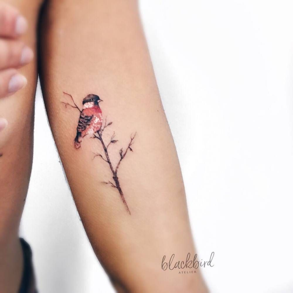 Bird On A Branch Tattoo On The Left Inner Arm Tattoos with sizing 1000 X 1000