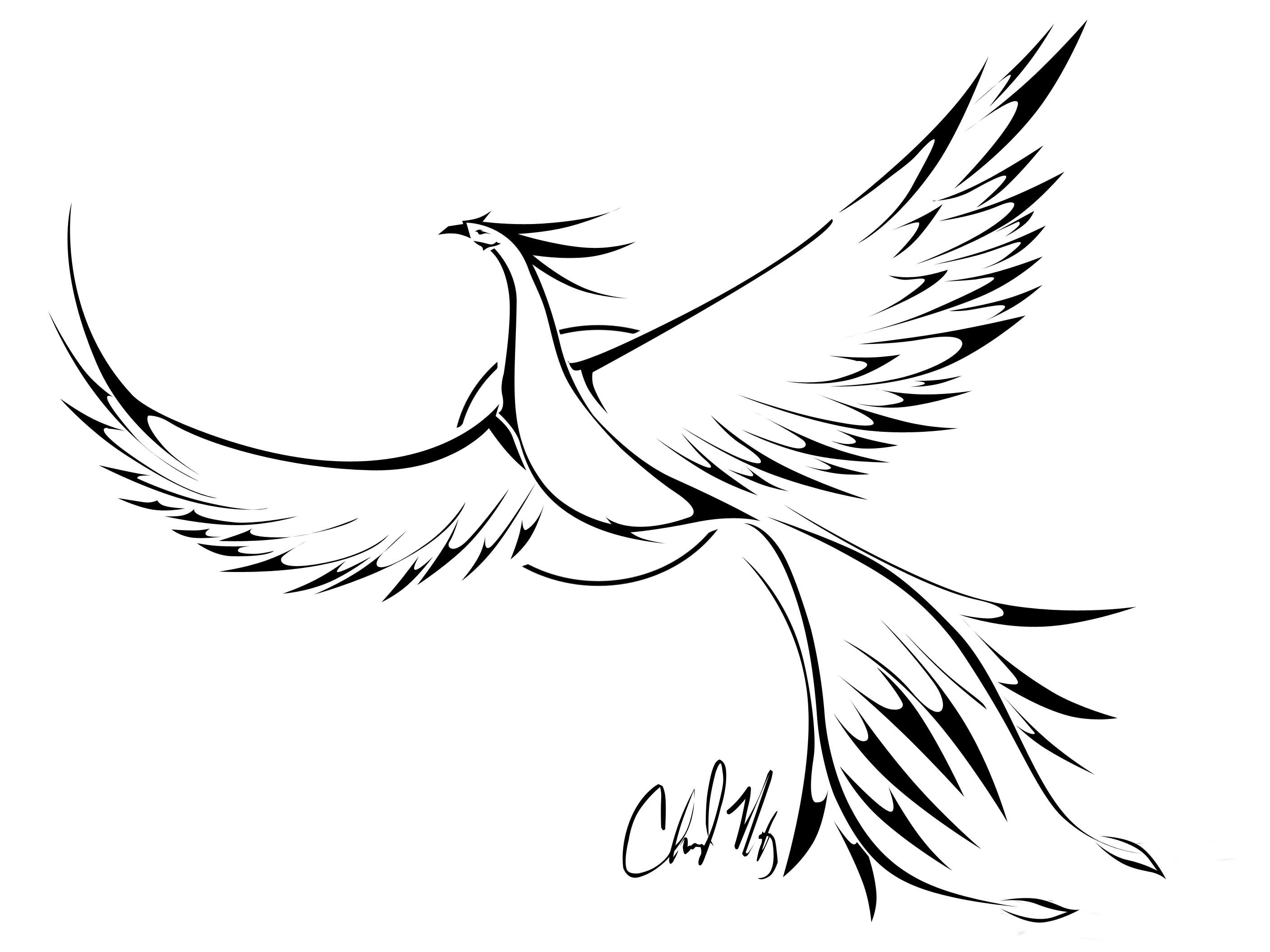 Bird Outline Tattoo Design Sun Tattoo Images Designs Bird throughout sizing 2816 X 2112