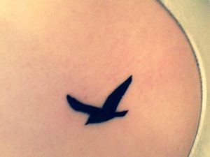 Bird Shadow Tattoos Tattoos Shadow Tattoo Tattoos Fish Tattoos regarding measurements 1024 X 768