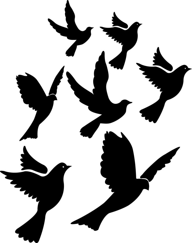 Bird Silhouette Tattoo Design Clipart Best Gone But Not throughout sizing 808 X 1023