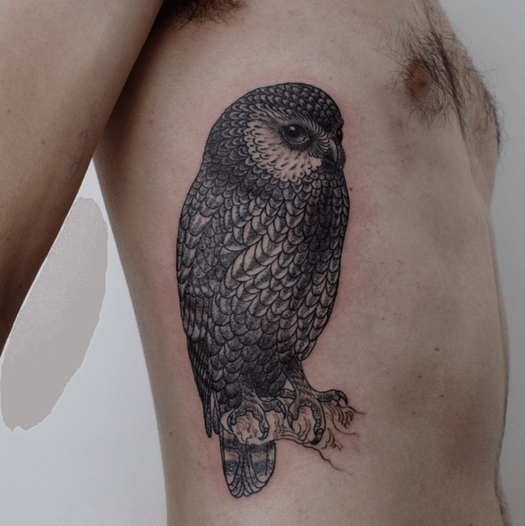 Bird Tattoo 5 Wide Open Pets within measurements 1022 X 1024