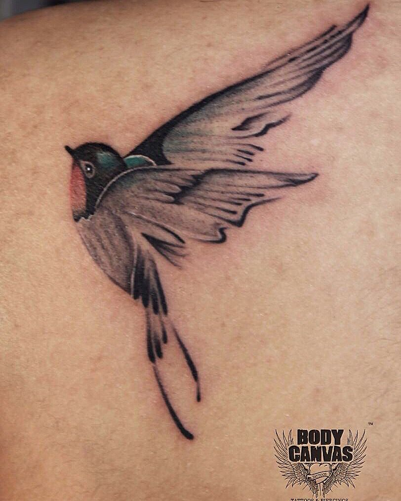 Bird Tattoo Art Freedom Tattoo My Style Tattoos Swallow Bird pertaining to size 812 X 1014