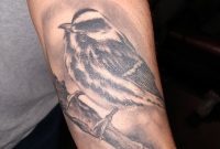 Bird Tattoo Contest Black Swamp Bird Observatory Brings You The regarding measurements 800 X 1067