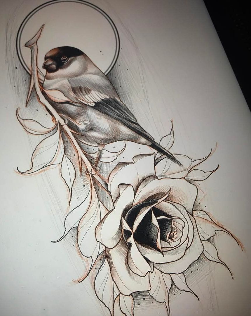 Bird Tattoo Design New Traditional Tattoo Drawings Rose with dimensions 860 X 1080