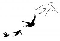 Bird Tattoo Designs In Impressive Ideas Birds 14 Black Four Flying for size 1114 X 708