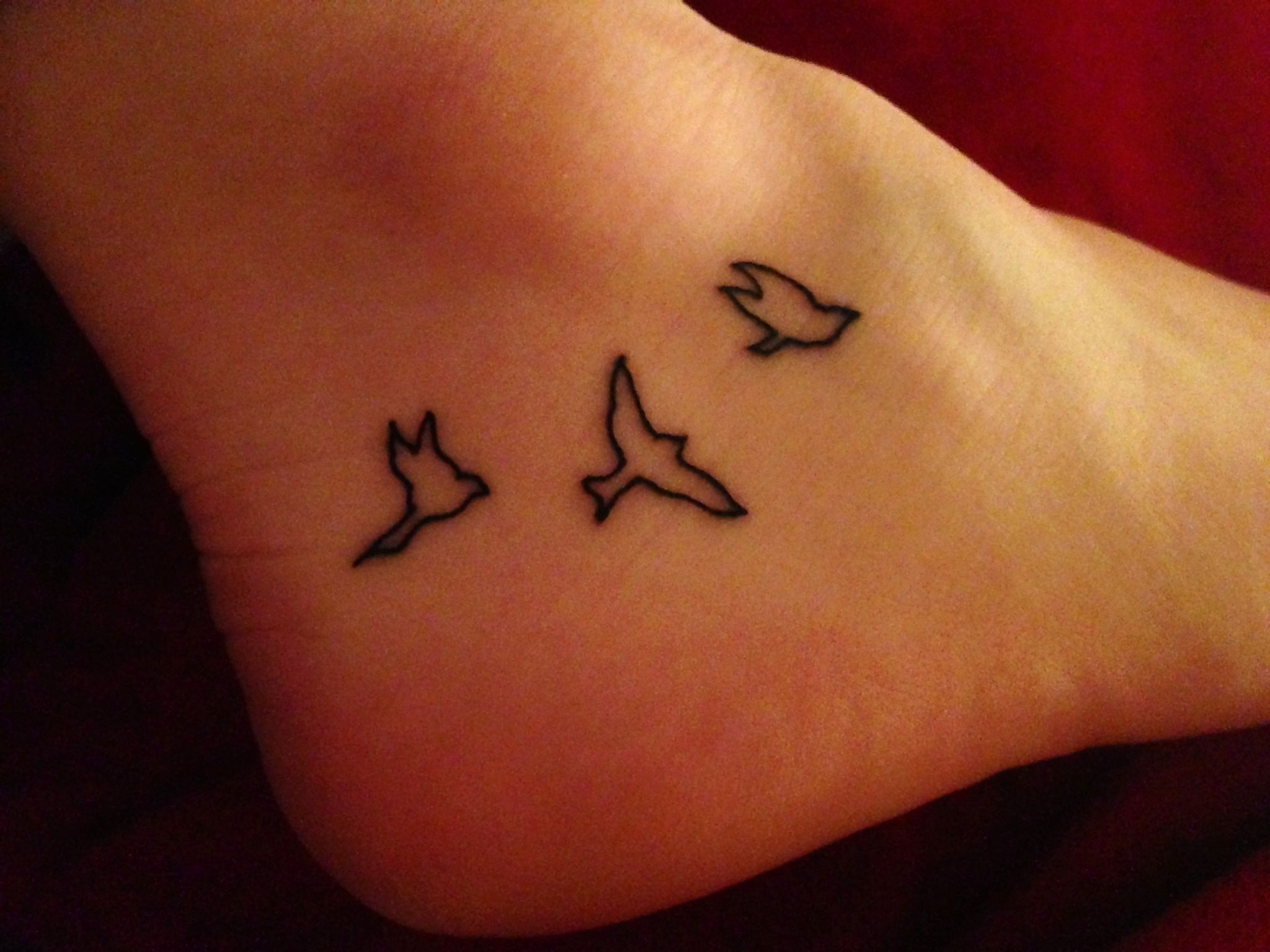 Bird Tattoo One For Each Sibling Representing Us Always Being Close intended for dimensions 2048 X 1536