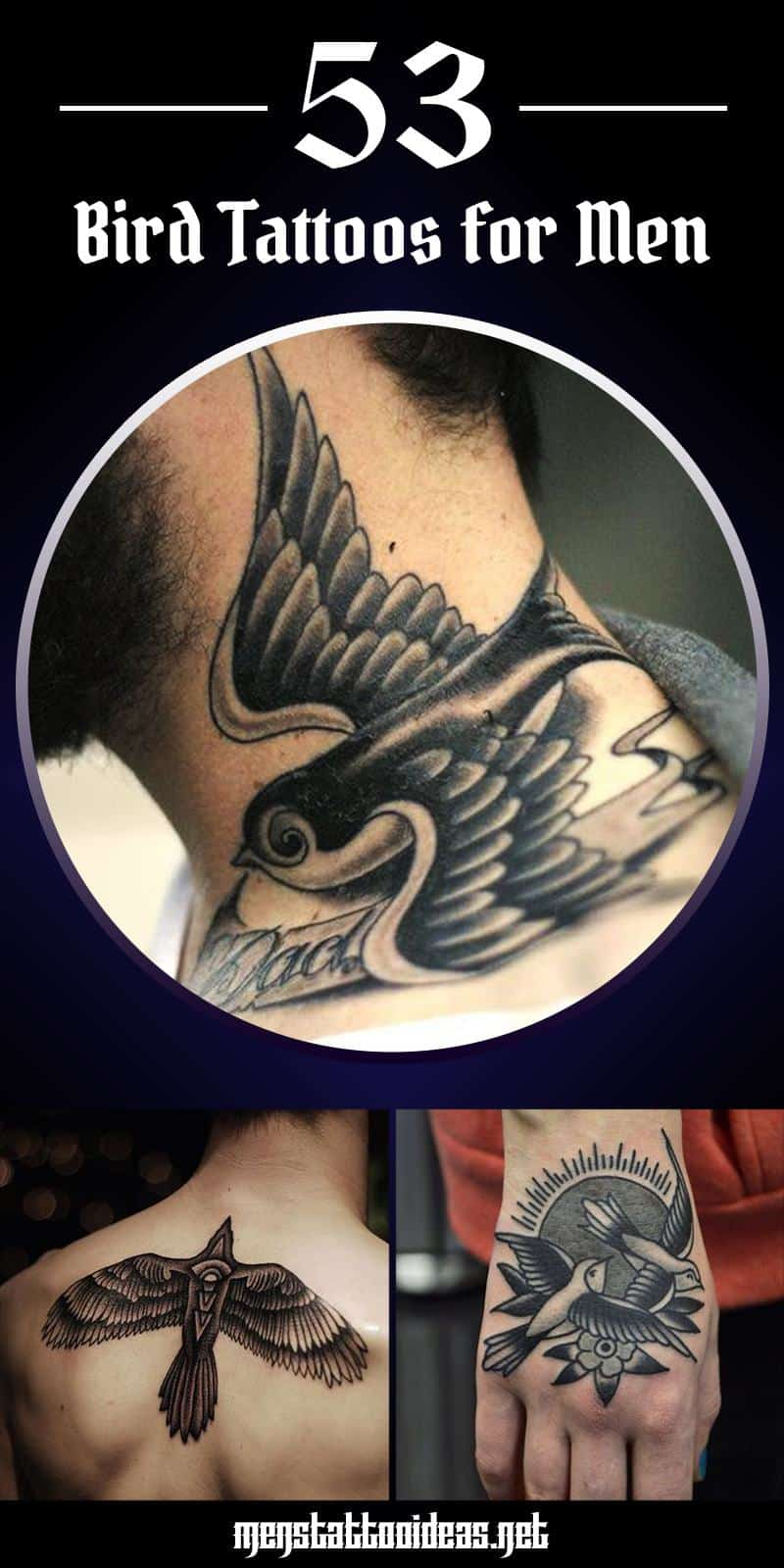 Bird Tattoos For Men Bird Tattoo Design Ideas For Guys for proportions 800 X 1600