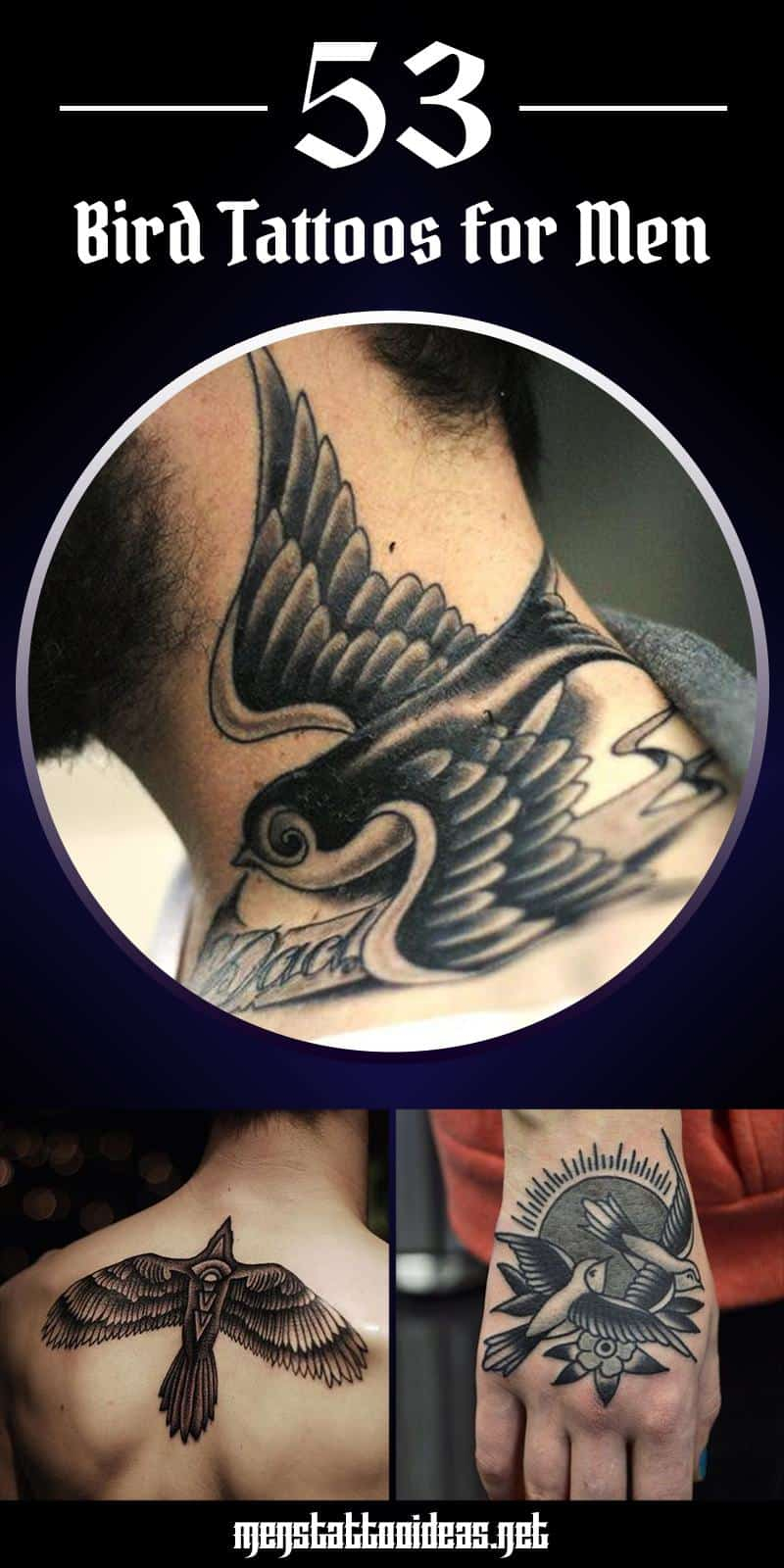 Bird Tattoos For Men Bird Tattoo Design Ideas For Guys intended for proportions 800 X 1600