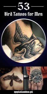 Bird Tattoos For Men Bird Tattoo Design Ideas For Guys throughout proportions 800 X 1600