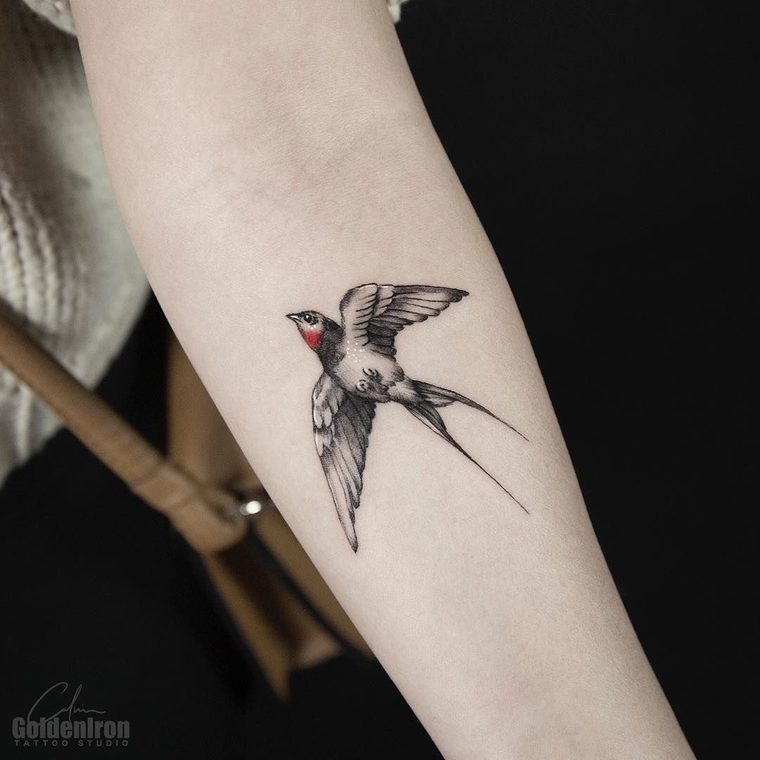 Bird Tattoos Meaning And Symbolism The Wild Tattoo Bird Tattoos with regard to measurements 1080 X 1080