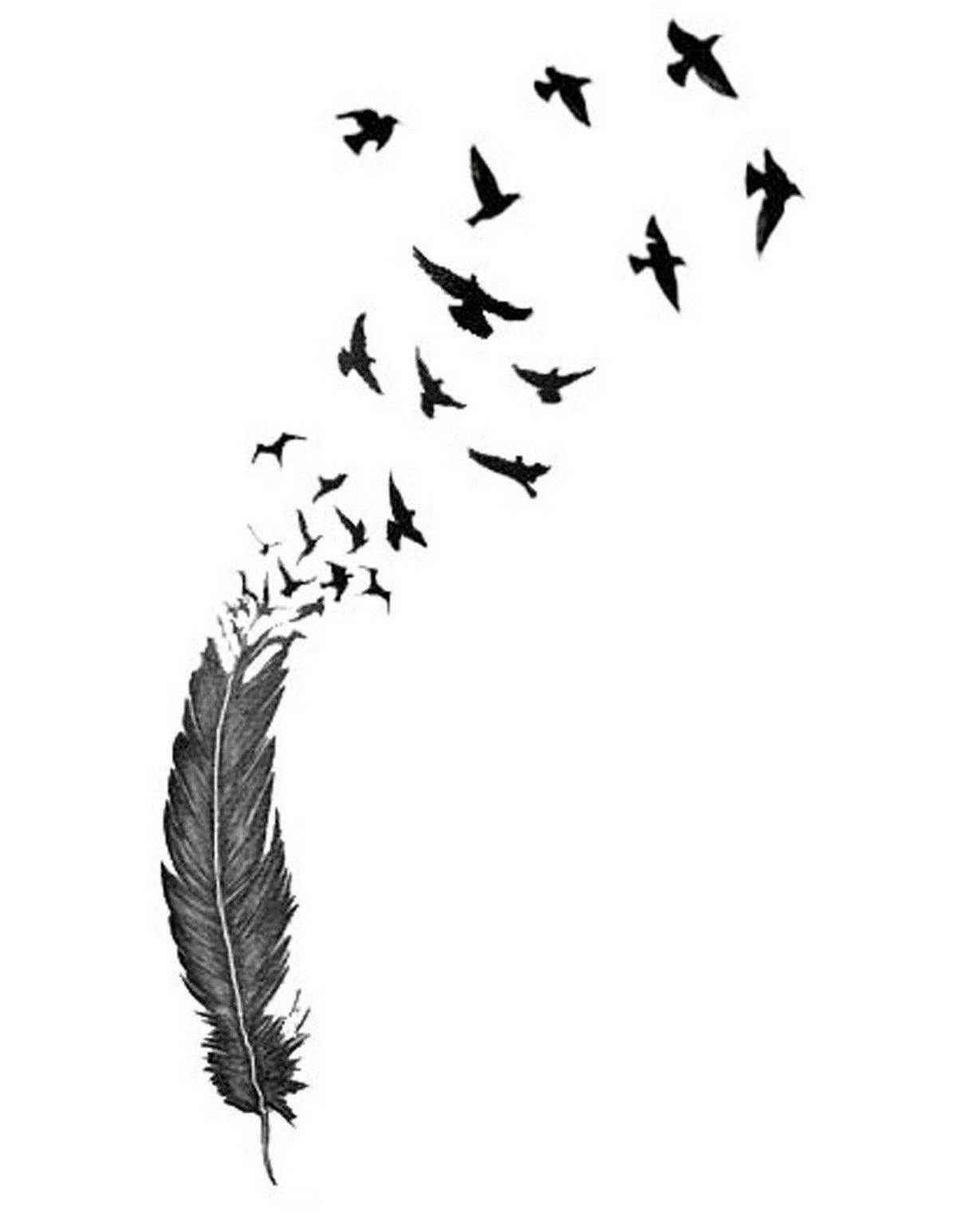 Birds From Feather Tattoo Design Tattoos Symbolic Tattoos inside sizing 1229 X 1536