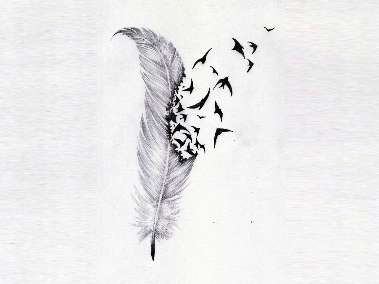 Birds Of A Feather Tattoo Image Tattoo Ideas intended for measurements 1280 X 960