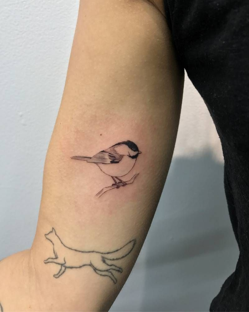 Black Capped Chickadee Tattoo On The Right Inner Arm Animal with regard to dimensions 800 X 1000